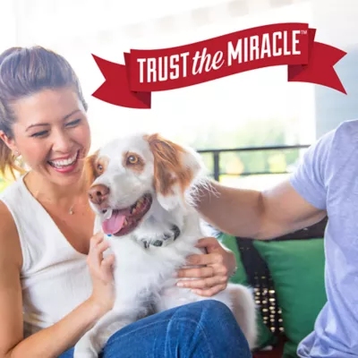 Product Nature's Miracle Advanced  Dog and Cat Stain and Odor Remover Wipes for Hard Surfaces, 30 Count