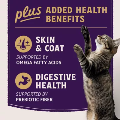 Product Natural Balance Ultra Protein+ Wet Cat Food, Skin/Coat/Digestive Health-Salmon w/Pmpkn, Puree Topper
