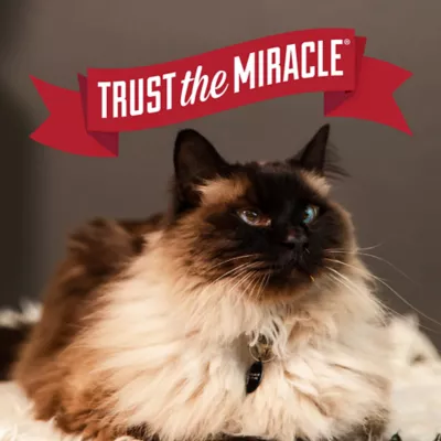 Product Nature's Miracle® Intense Defense™ Odor Control Clumping Litter, 20 lbs