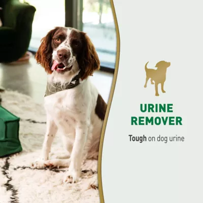 Product Nature's Miracle Dog Urine Remover, 1 gal