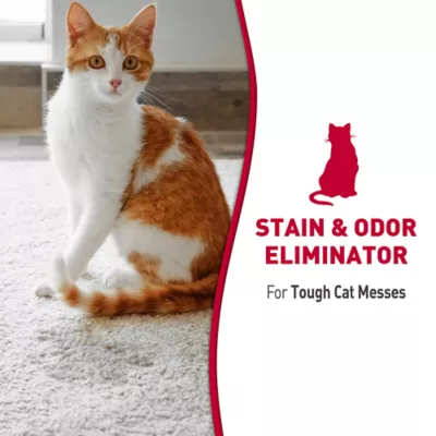 Product Nature's Miracle Cat Stain & Odor Remover Foam, 17.5 oz