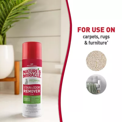 Product Nature's Miracle Cat Stain & Odor Remover Foam, 17.5 oz