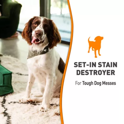 Product Nature's Miracle Oxy Formula Set-In Stain Destroyer for Dog Messes, Orange Scent, 24 oz