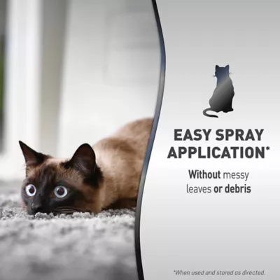 Product Natures Miracle Advanced Catnip Training Spray with Real Catnip Oil, 8 oz