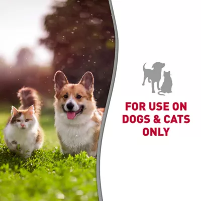 Product  Nature's Miracle™ Skunk Odor Control Shampoo & Conditioner for Dogs & Cats - Citrus Scent, 32