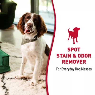Product Nature's Miracle Dog Stain and Odor Remover, 1 gal