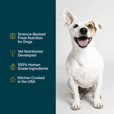 Product JustFoodForDogs JustFresh All Life Stages Fresh Dog Food - Turkey, 12 oz