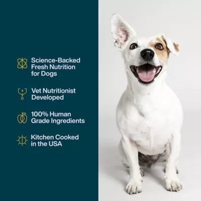 Product JustFoodForDogs JustFresh All Life Stages Fresh Dog Food - Beef, 12 oz