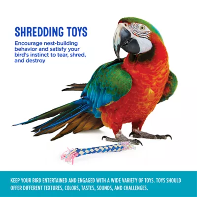 Product All Living Things® Finger Raffia Bird Toy