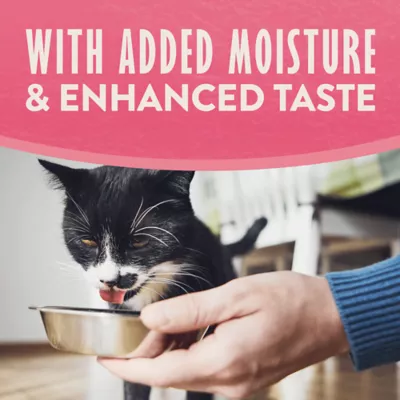 Product Natural Balance Limited Ingredient Wet Cat Food - Pate in Broth, 2.6oz