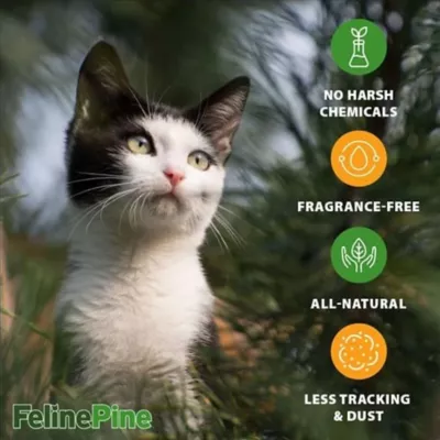 Product Arm & Hammer Feline Pine Non-Clumping Cat Litter, Pine Pellet Litter 9.07 KG