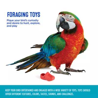 Product All Living Things® Slipper Bird Toy