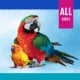 Product  All Living Things® Rattle Ball Bird Toy