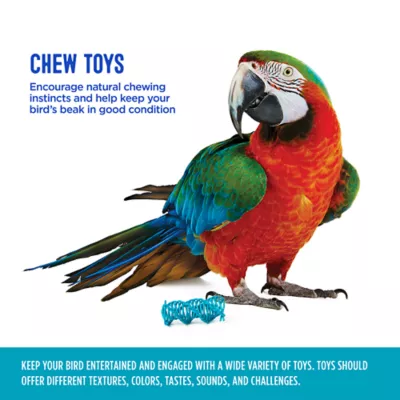 Product All Living Things® Twist Bird Toy