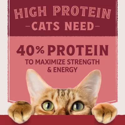 Product Natural Balance Ultra Protein Dry Cat Food, Real Salmon & Chicken Meal Recipe, 10 lbs.