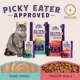 Product Natural Balance Ultra Protein+ Dry Cat Food, Skin/Coat/Digestive Health, Real Salmon & Chicken Meal