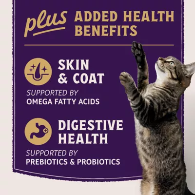 Product Natural Balance Ultra Protein+ Dry Cat Food, Skin/Coat/Digestive Health, Real Salmon & Chicken Meal