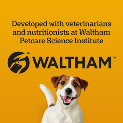 Product Pedigree Marrobone Adult Dog Treats Real Beef Flavour with Real Bone Marrow, Vitamin Enriched