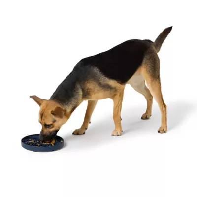 Product Top Paw® Landscape Slow Feeder Mat