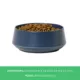 Product Top Paw® Blue Melamine Dog Bowl, 30 oz