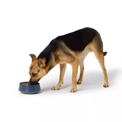 Product Top Paw® Blue Melamine Dog Bowl, 30 oz