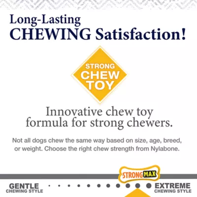 Product Nylabone® Gourmet Style Chew Dog Toy