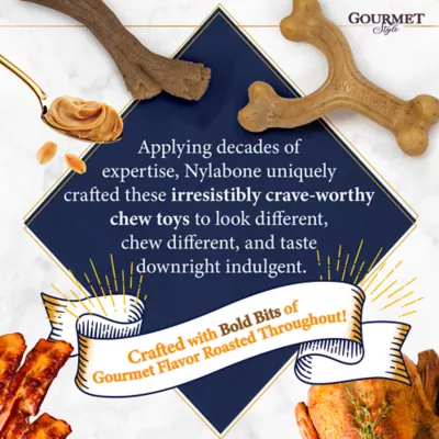 Product Nylabone® Gourmet Style Chew Dog Toy