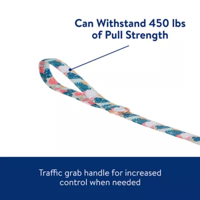 Product Top Paw® Tropical Leaves Dog Leash - 4 Ft