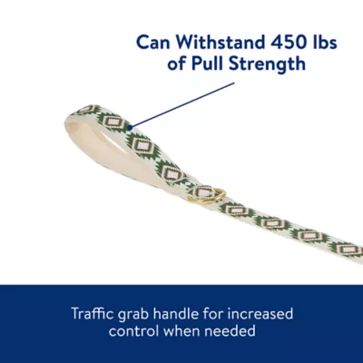 Product Top Paw® Green Aztec Dog Leash - 4 FT