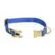 Product Top Paw® Abstract Plant Dog Collar