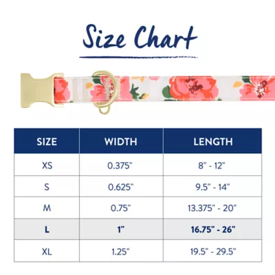 Product Top Paw® Floral Dog Collar