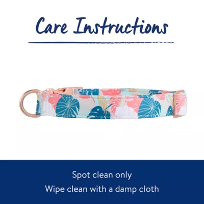 Product Top Paw® Tropical Leaves Dog Collar