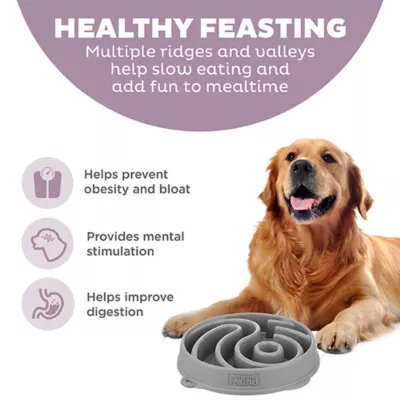 Product Outward Hound Ying Yang Slow Feeder