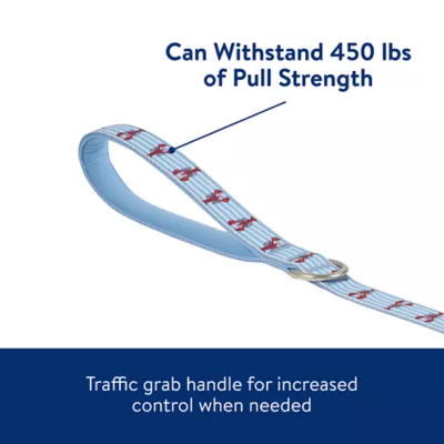 Product Top Paw® Lobster Dog Leash - 4 FT