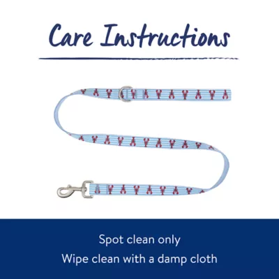 Product Top Paw® Lobster Dog Leash - 4 FT