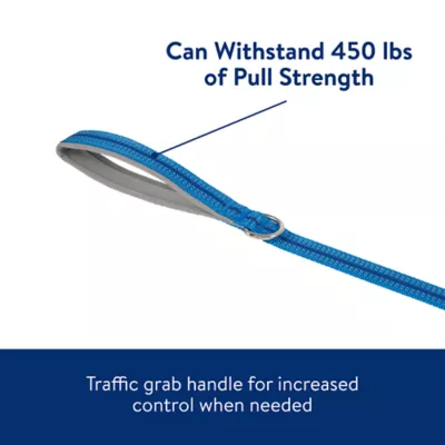 Product Top Paw® Reflective Dog Leash 6Ft x 1IN