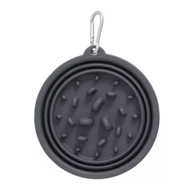 Product Arcadia Trail® Collapsible Slow Feeder Dog Bowl