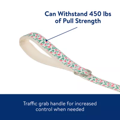 Product Top Paw® Rosebud Dog Leash - 4 Ft