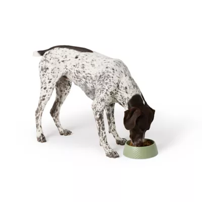 Product Top Paw® Textured Melamine Dog Bowl
