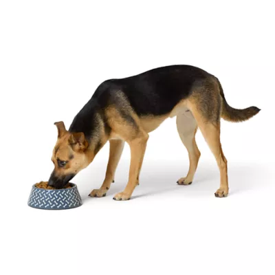 Product Top Paw® Bones Melamine Dog Bowl, 24 oz