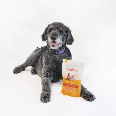 Product Pupford Cheddar Crunchies Dog Treats 4.25 OZ