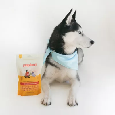 Product Pupford Cheddar Crunchies Dog Treats 4.25 OZ