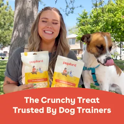 Product Pupford Cheddar Crunchies Dog Treats 4.25 OZ