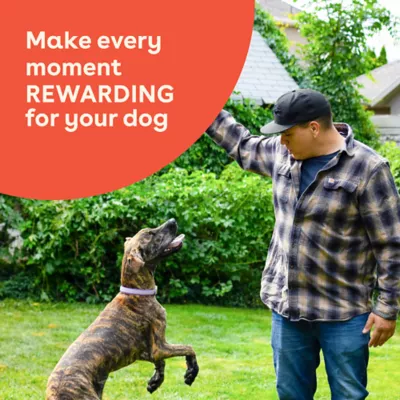 Product Pupford Chicken and Sweet Potato Crunchies Dog Treats 5 OZ