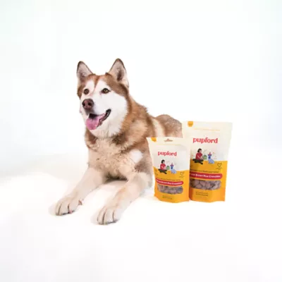 Product Pupford Beef and Brown Rice Crunchies Dog Treats 5 OZ