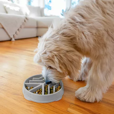 Product Outward Hound Fun Feeder Slow Bowl Peace