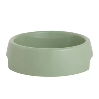 Product Top Paw® Green Plastic Dog Bowl
