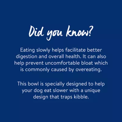 Product Top Paw® Stainless Steel Slow Feeder Dog Bowl