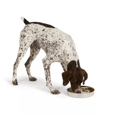 Product Top Paw® Stainless Steel Slow Feeder Dog Bowl