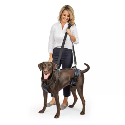 Product PetSafe® CareLift ™ Full Body Nylon Support Dog Harness